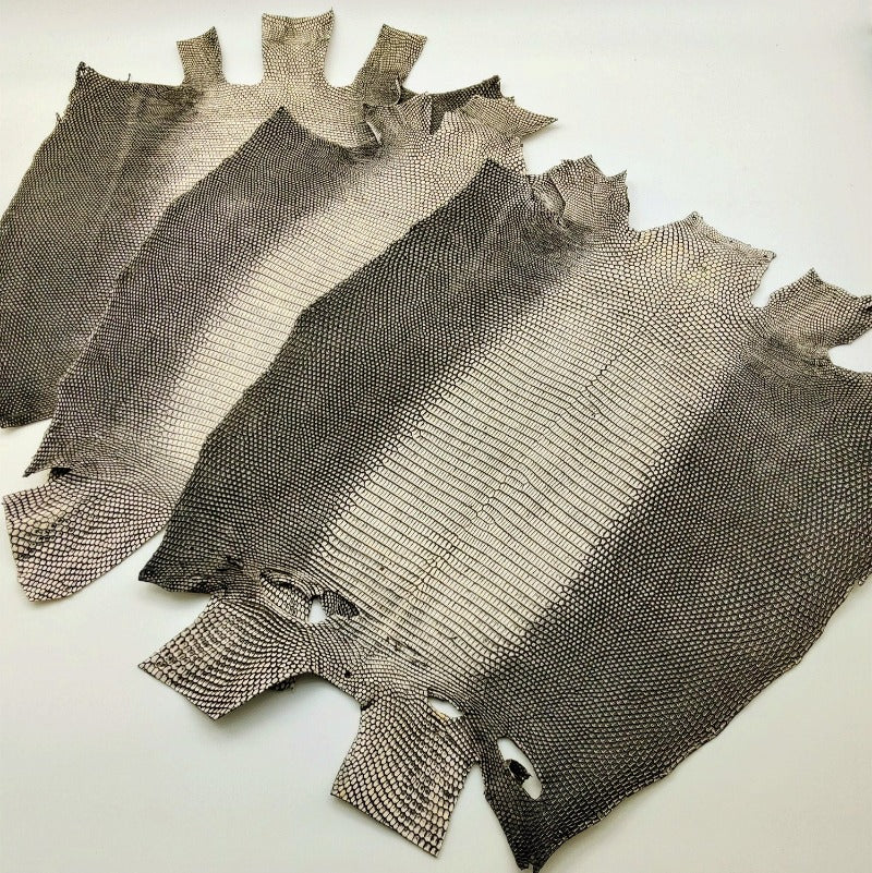 トカゲ革【最大幅28cm前後】バニラホワイト/ツヤ弱/背割/t704