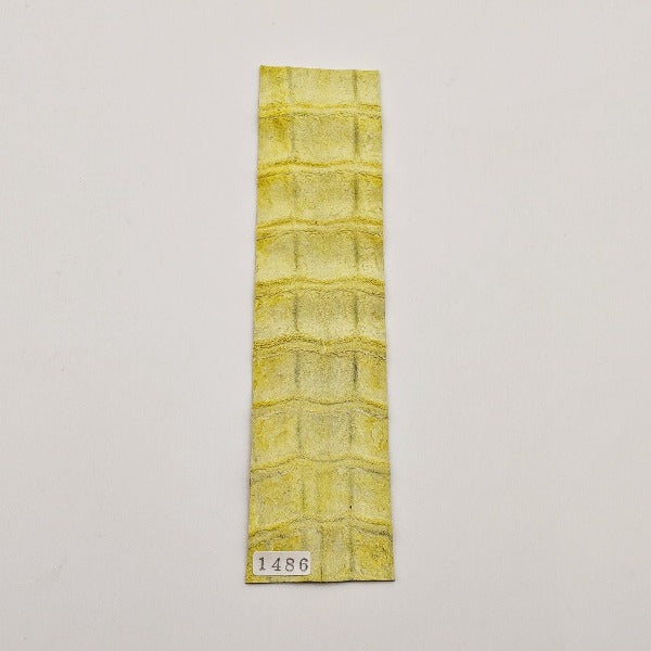 ワニ革/ポロサスクロコ【5×21cm/1.4mm】イエロー/ツヤ弱/Sランク/w1486