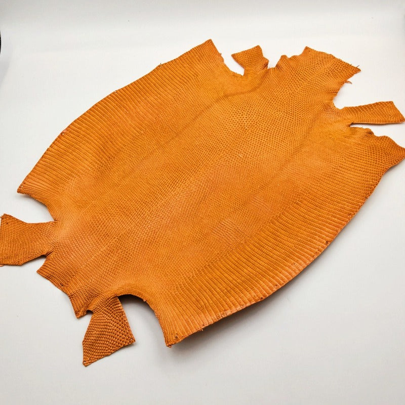 トカゲ革【最大幅34cm】オレンジ/ツヤ強/腹割/7065
