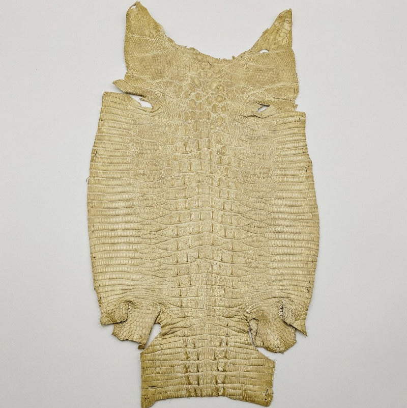 ジャクルシー革【18×18cm/Sランク】ベージュ/ ツヤ強/ j7184