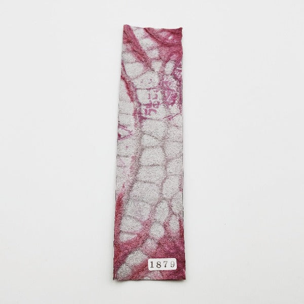 ワニ革/ポロサスクロコ【5×21cm/1.4mm】ローズレッド/ツヤ中/Sランク/w1879