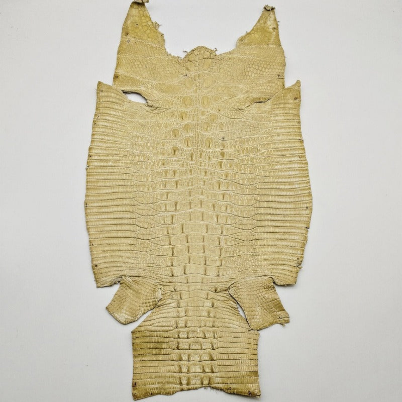 ジャクルシー革【19×19cm/Bランク】ベージュ/ ツヤ強/ j1942