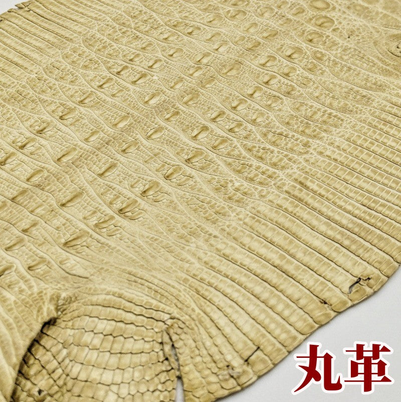 ジャクルシー革【13×13cm/Aランク】ベージュ/ ツヤ強/ j1948
