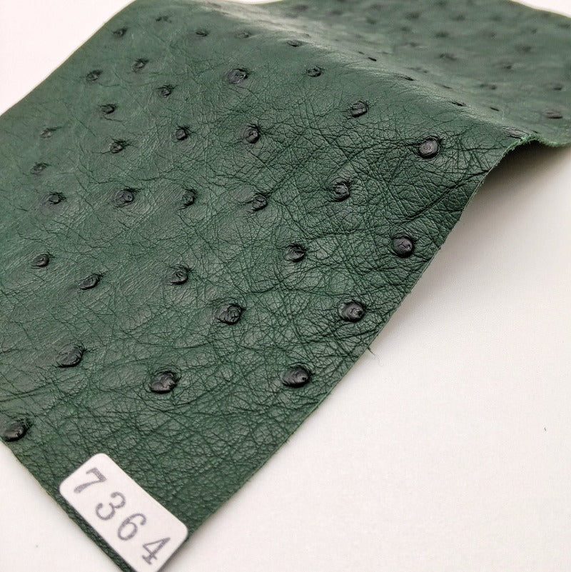 オーストリッチ革【11×21cm/1.0mm】グリーン/SQランク/d7364