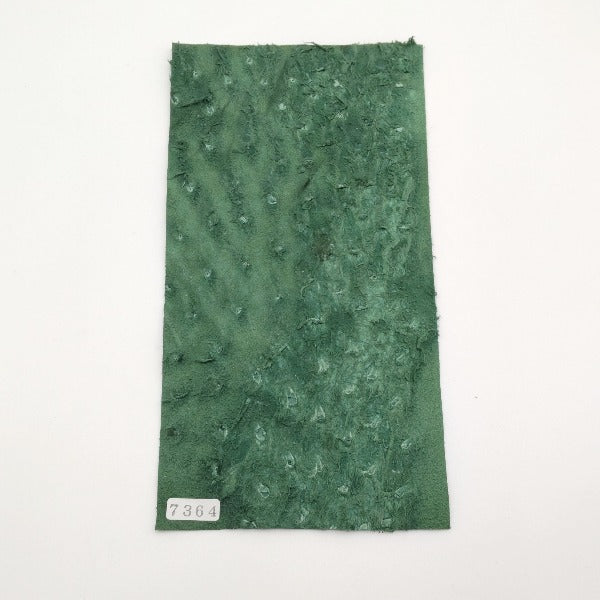 オーストリッチ革【11×21cm/1.0mm】グリーン/SQランク/d7364