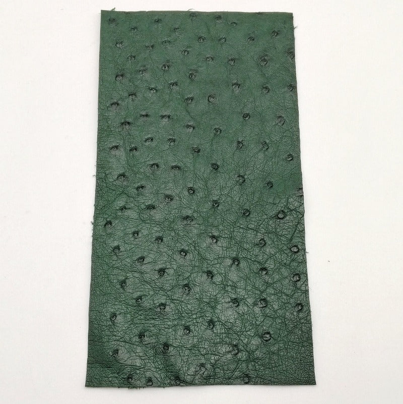 オーストリッチ革【11×21cm/1.0mm】グリーン/SQランク/d7364