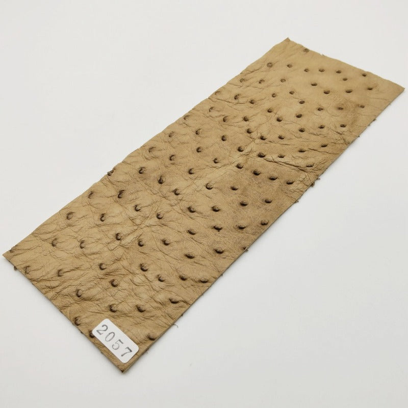オーストリッチ革【8×21cm/1.3mm】ベージュ/SQランク/d2057