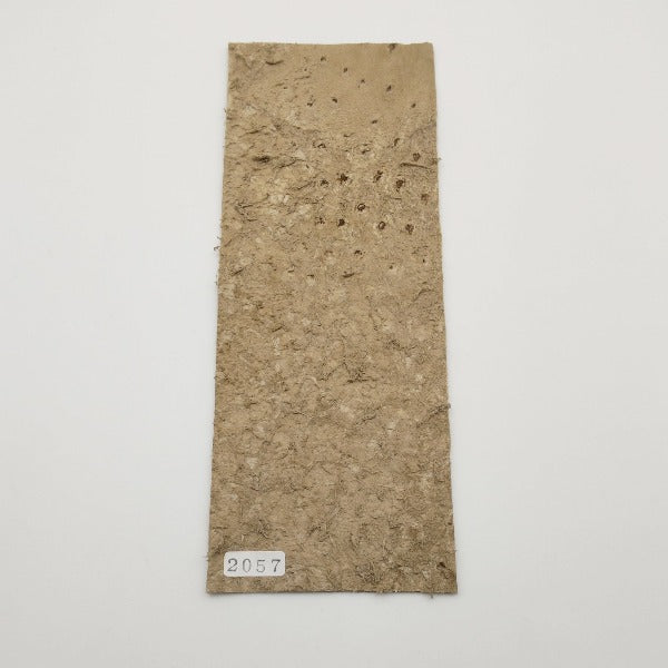 オーストリッチ革【8×21cm/1.3mm】ベージュ/SQランク/d2057