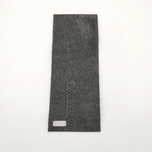 サメ革【8×21cm/1.7mm】クリスタルグリーン/ツヤ強/Sランク/s7439