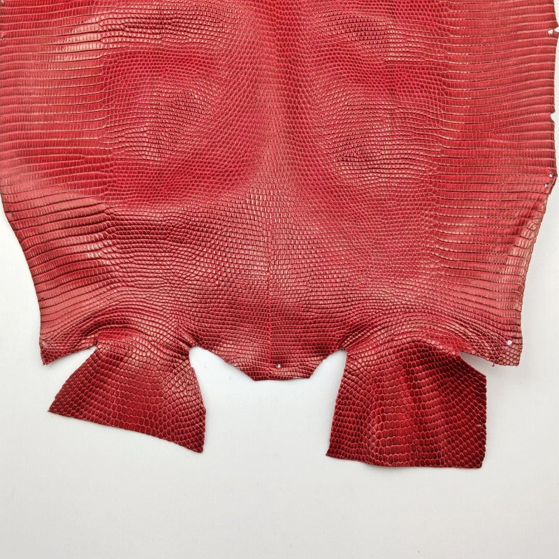 トカゲ革【最大幅29cm】レッド/ツヤ強/腹割/7498
