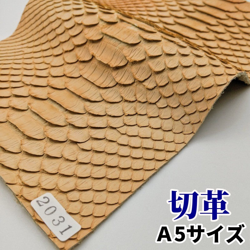 蛇革 カラフル