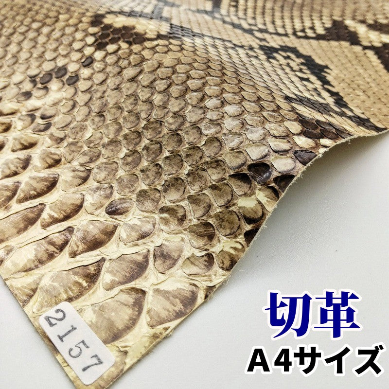 蛇革 素材
