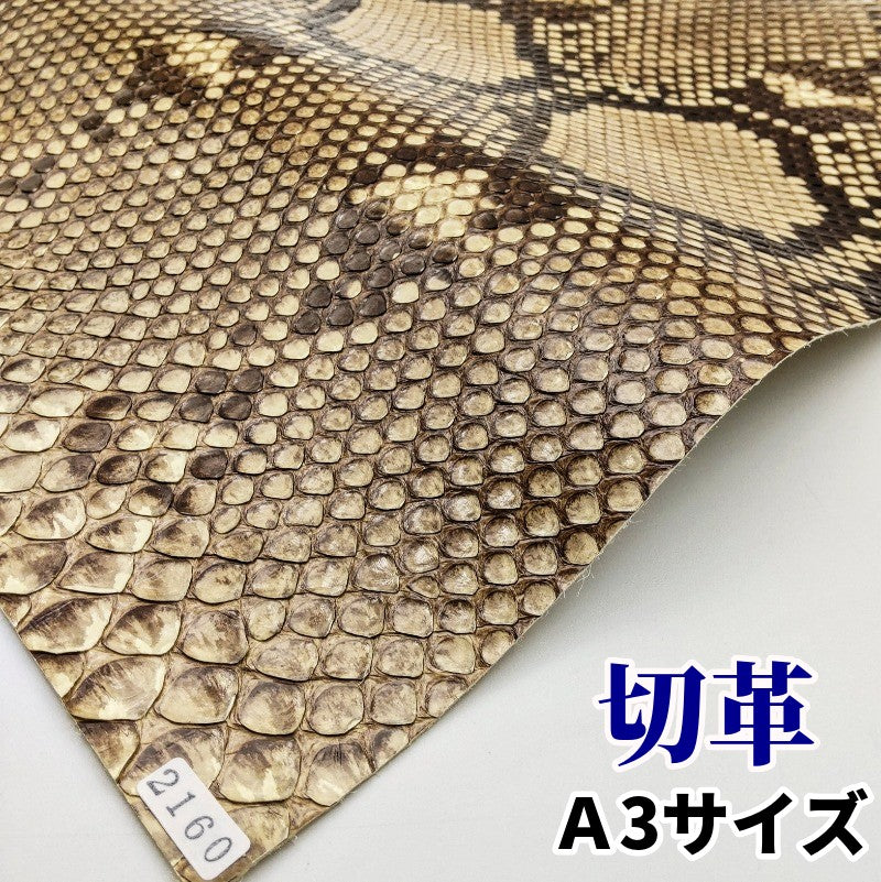 蛇革 素材