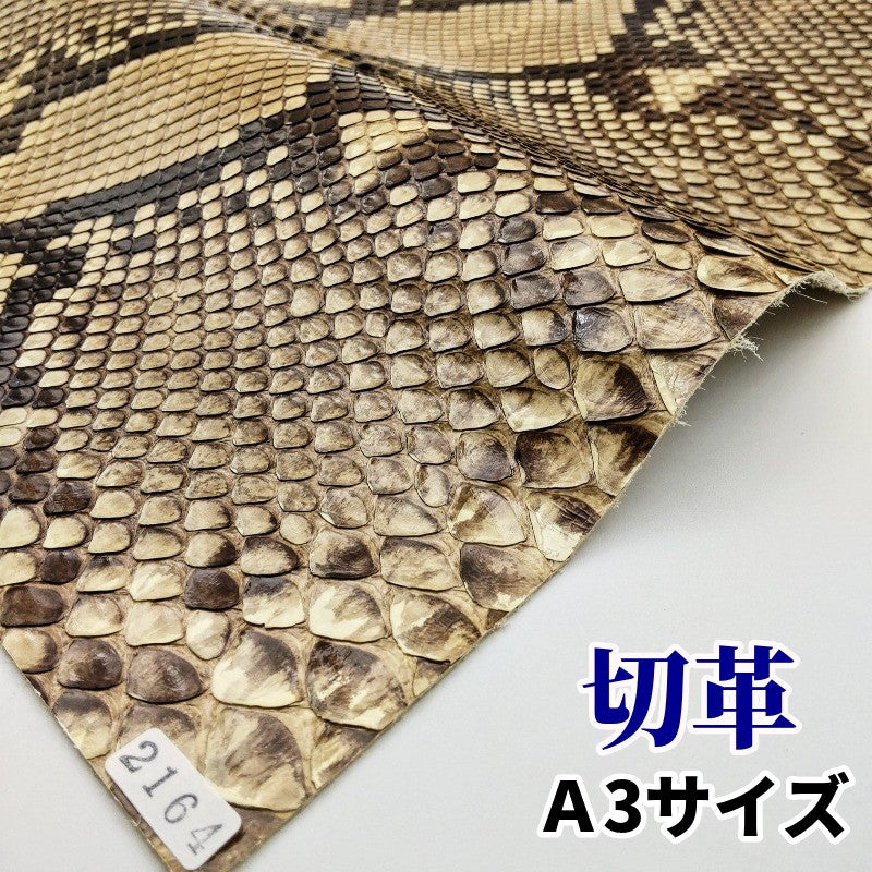 蛇革 素材
