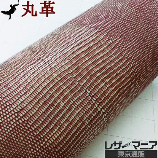 リザード革 販売