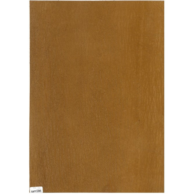 SharkLeather 財布