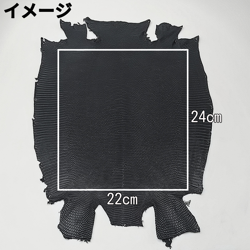 リザード革 財布