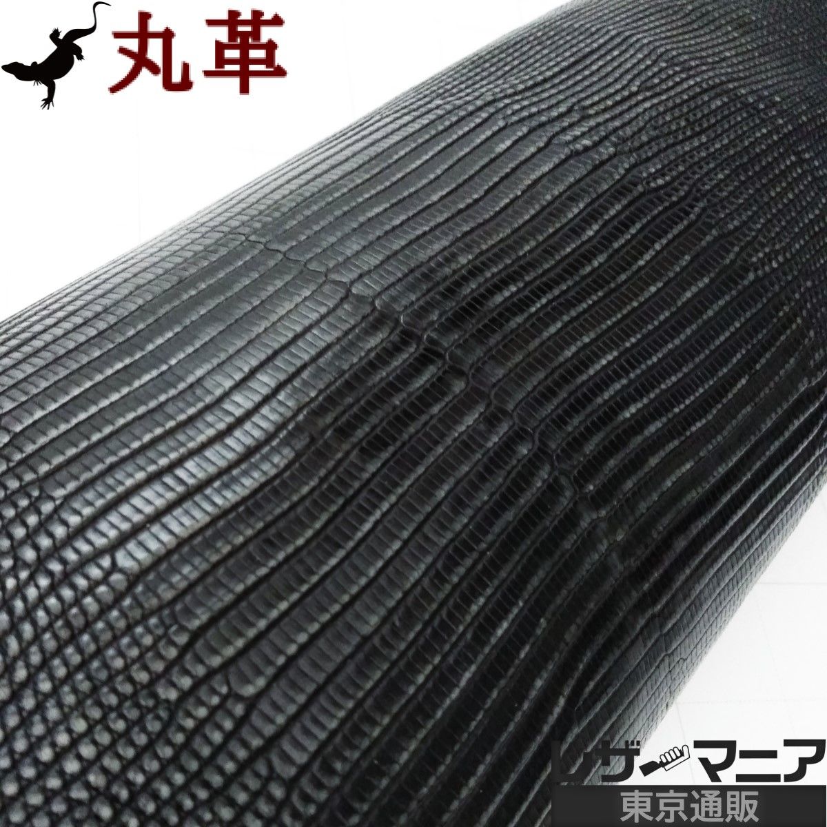 リザード革 販売