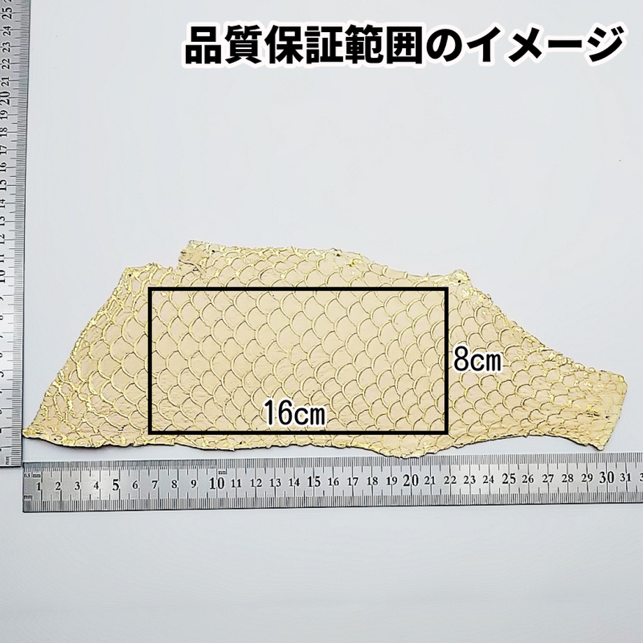 フィッシュレザー おおきさ