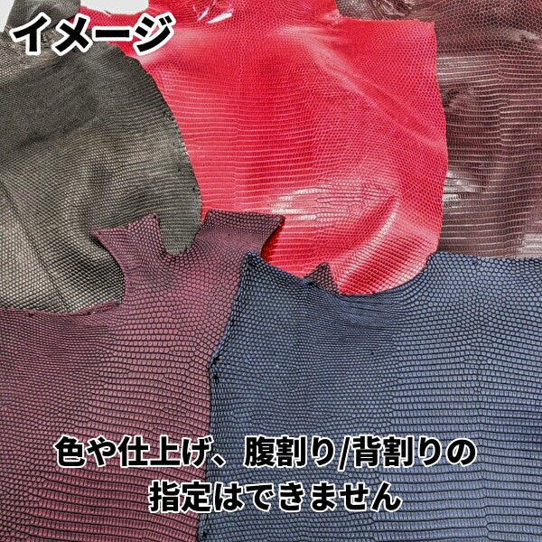 【福袋】トカゲ丸革5枚/送料無料/fb25t