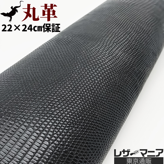 リザード革 販売
