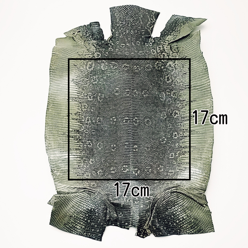 リングトカゲ レザークラフト