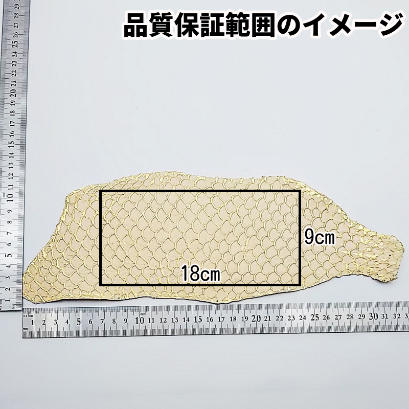 フィッシュレザー 特徴