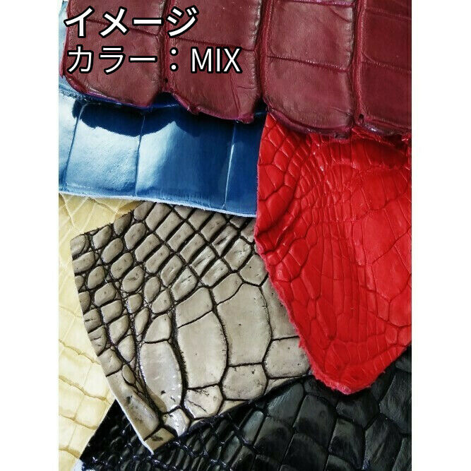 鰐はぎれ 販売