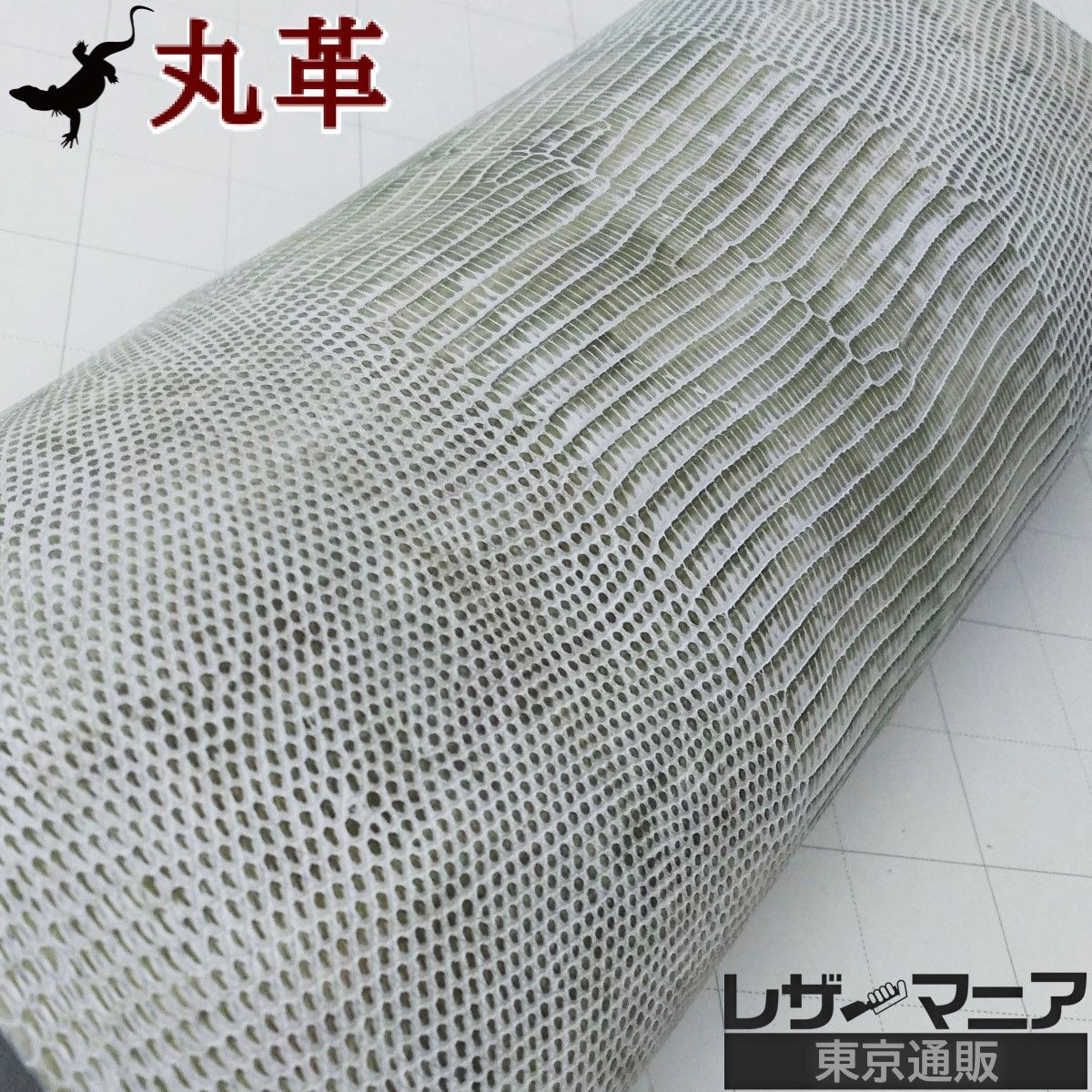 リザード革 販売