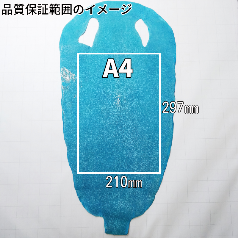 ガルーシャ 綺麗