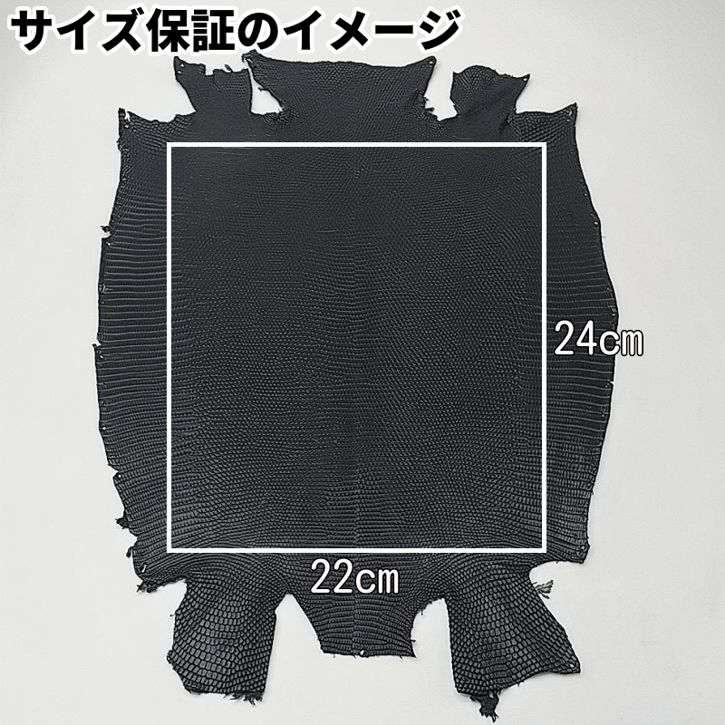 トカゲ革 サイズ