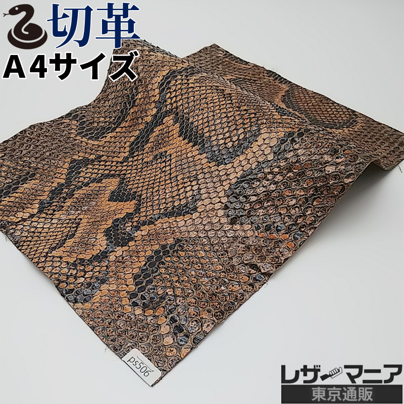 錦蛇 特徴