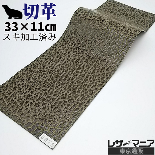 アシカ 販売