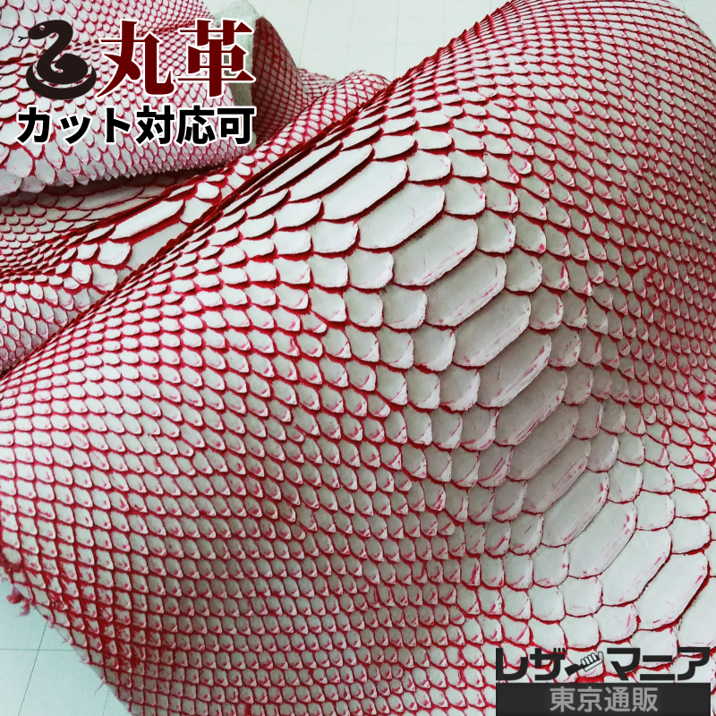 蛇革 財布