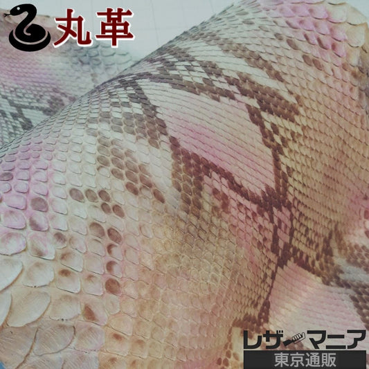 へび 素材