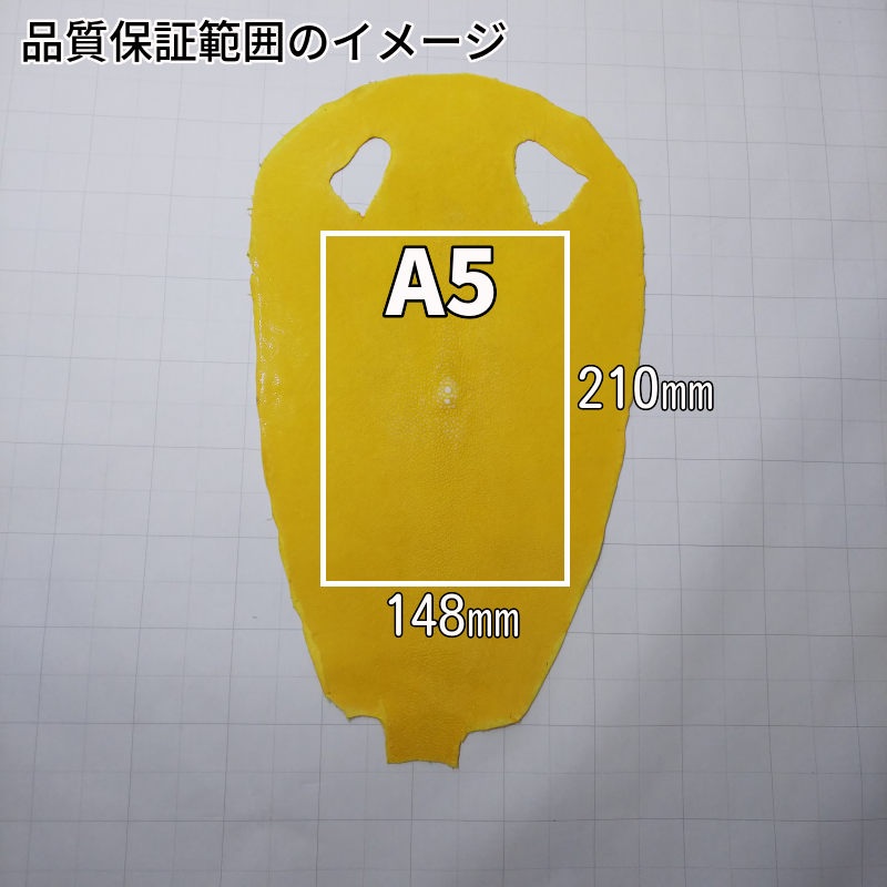 ガルーシャ カラフル