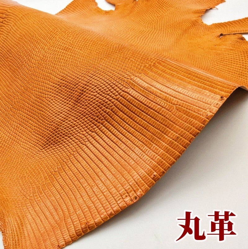 蜥蜴 革素材