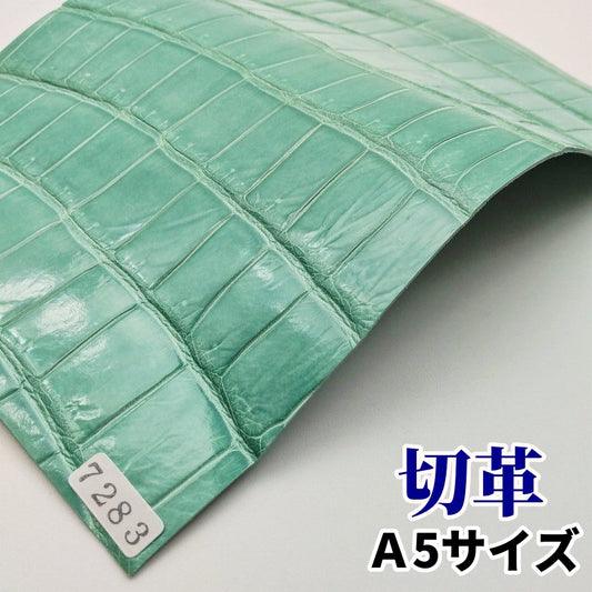 鰐革 素材