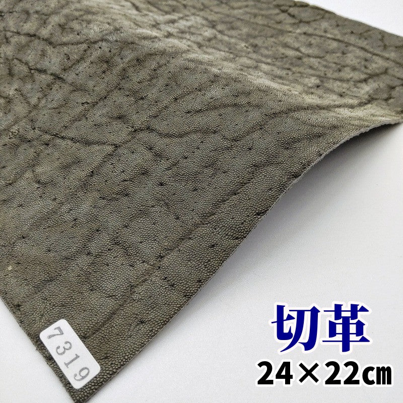 象革 素材