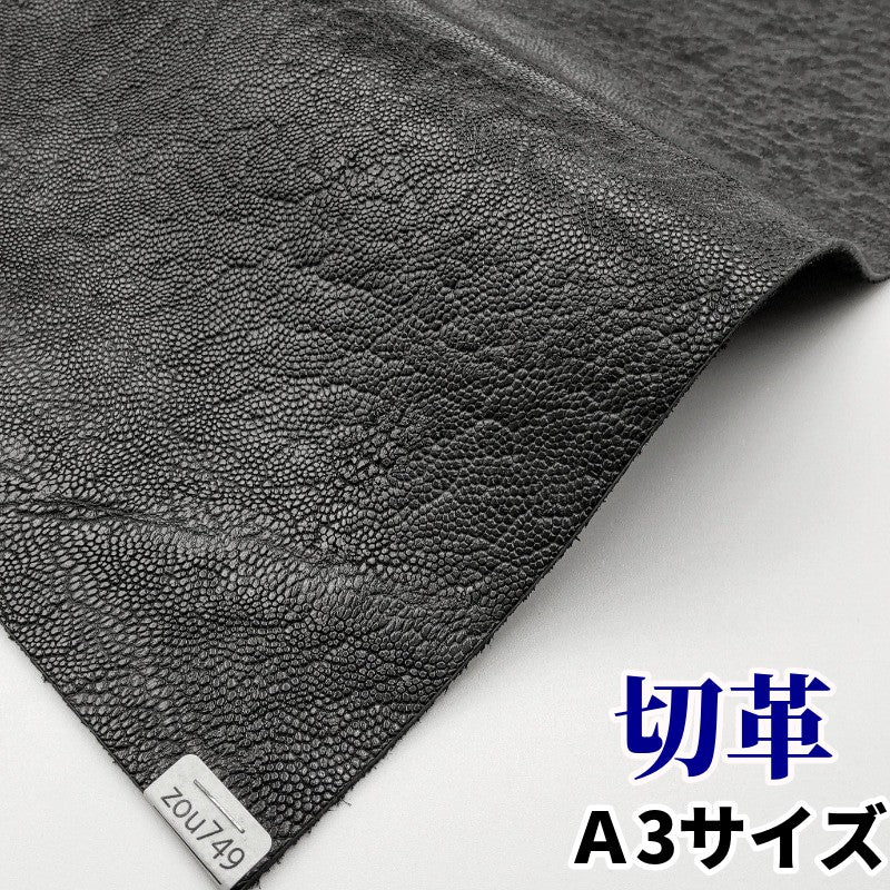 ぞう 革素材