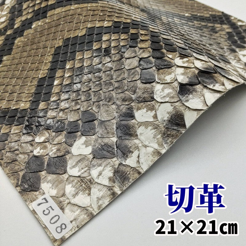 蛇 革素材