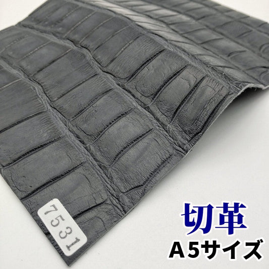 鰐 黒