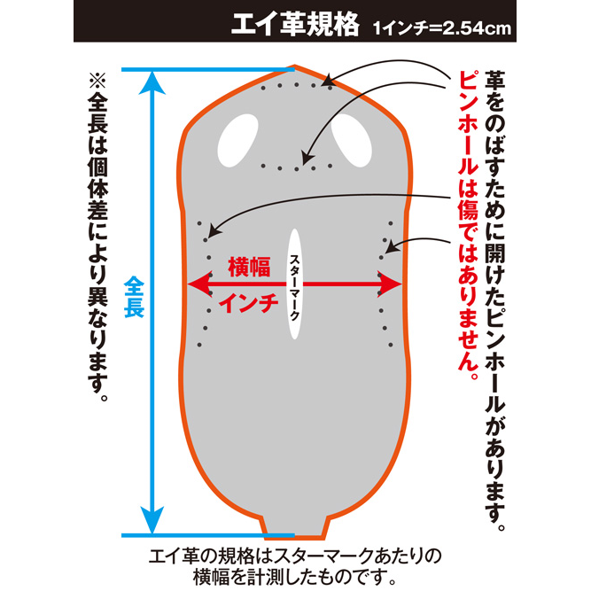 スティングレイ 特徴