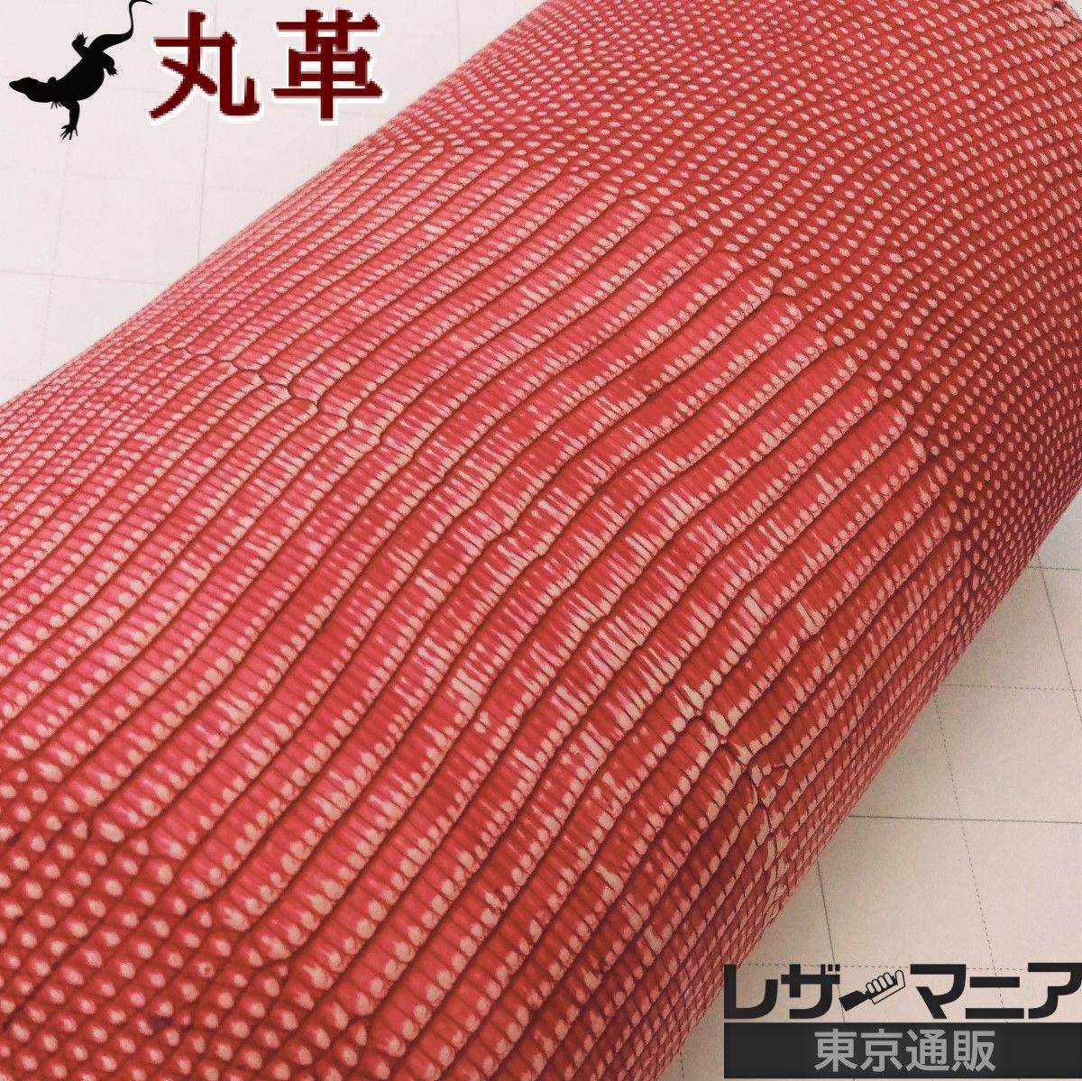 リザード革 販売