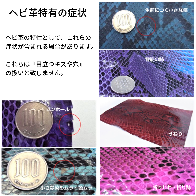 錦蛇革 特徴