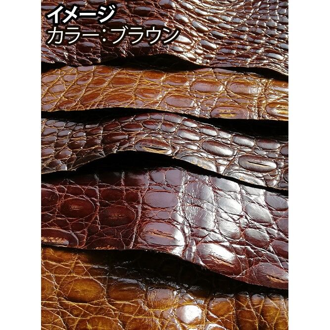 ワニはぎれ 販売