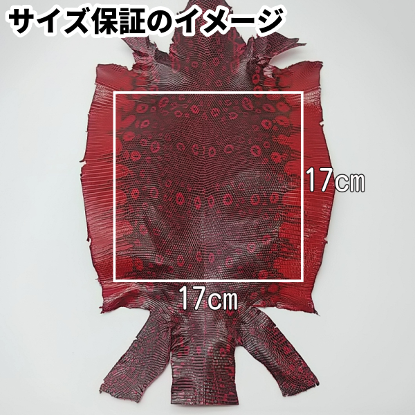 とかげ革 サイズ