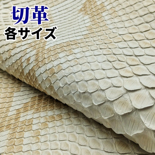 蛇 革素材