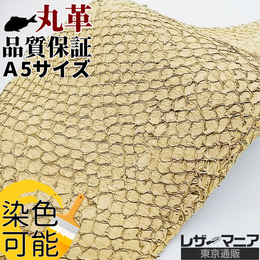 フィッシュ革/パーチ大サイズ【品質保証A5サイズ】無染色ナチュラル/f023