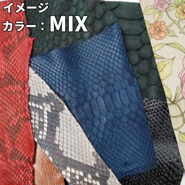 蛇革 カラフル